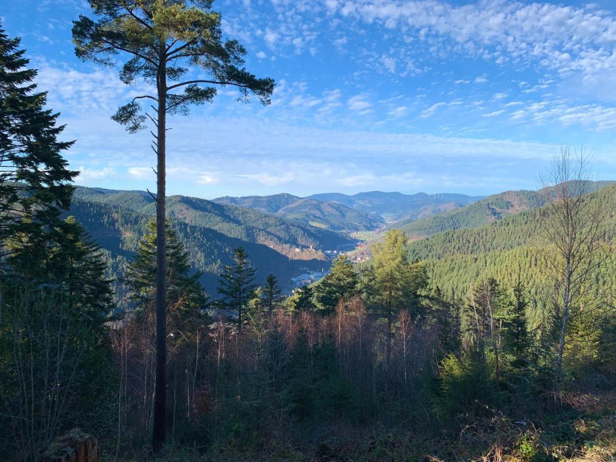 Ferienwohnung Zur Bierliebe - Mit Toller Aussicht Im Herzen Des Schwarzwaldes Хорнберг Екстериор снимка