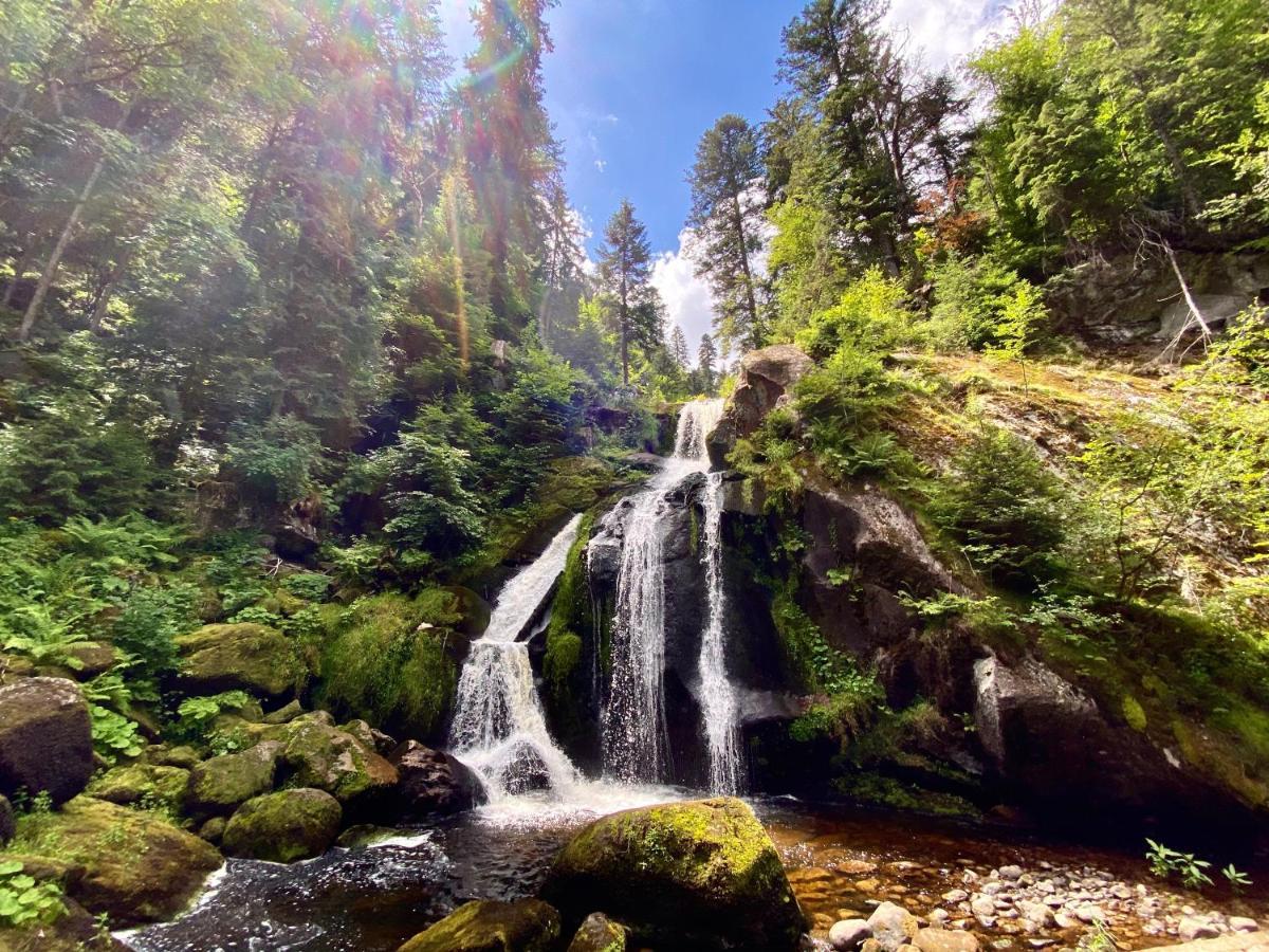Ferienwohnung Zur Bierliebe - Mit Toller Aussicht Im Herzen Des Schwarzwaldes Хорнберг Екстериор снимка